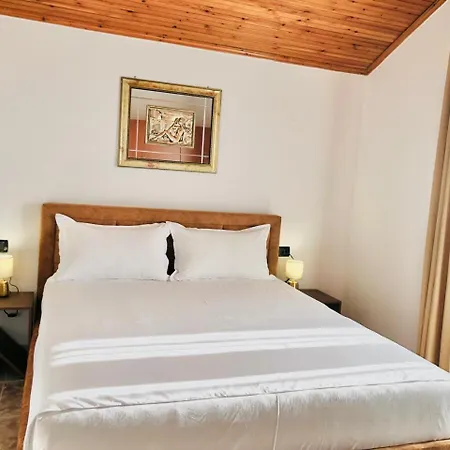 By Lion Guest house